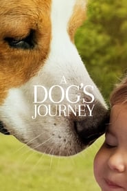 A Dog’s Journey (2019) HD