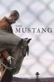 The Mustang (2019) HD